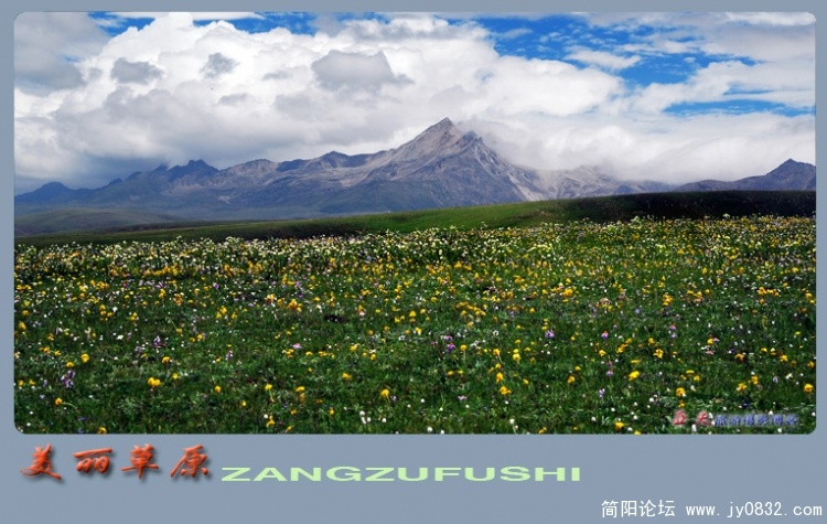 美丽的草原——10副本.jpg