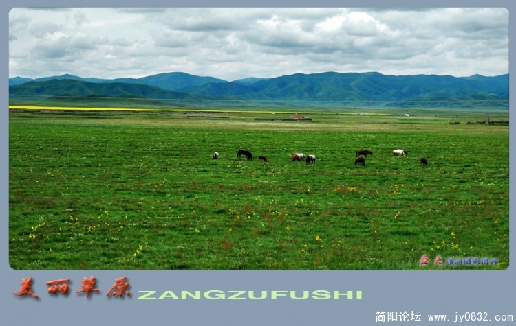 美丽的草原——02副本.jpg