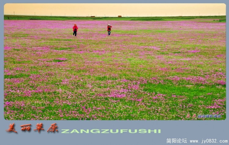 美丽的草原——17副本.jpg