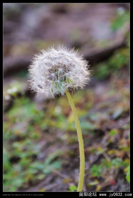 DSC_0508.jpg