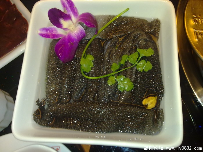 20100226654.jpg