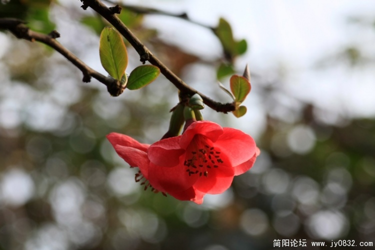 IMG_2541.jpg