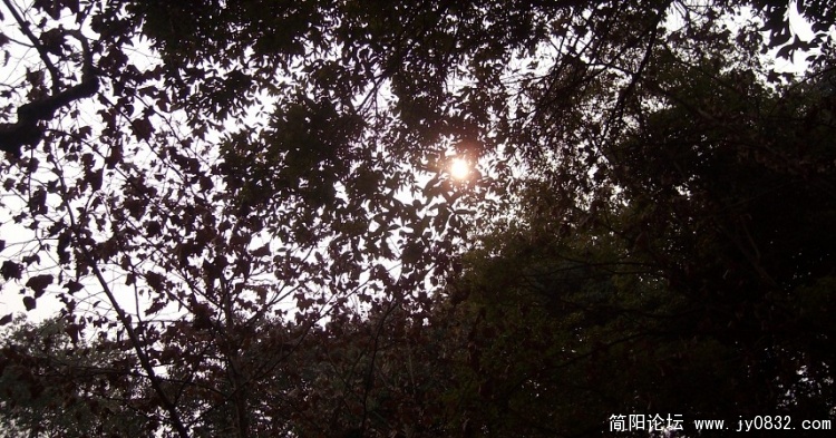 SANY2246.JPG