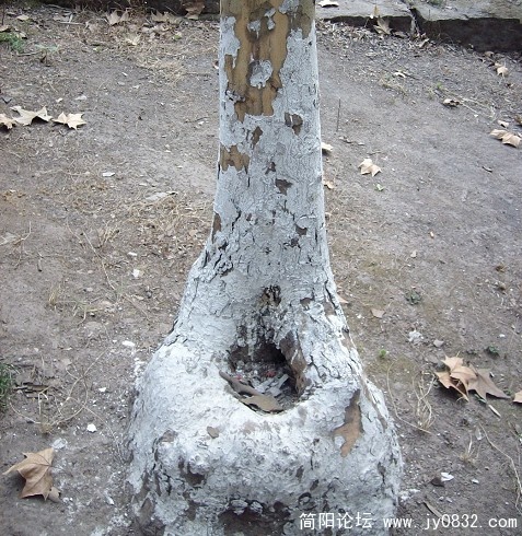 SANY2245.JPG
