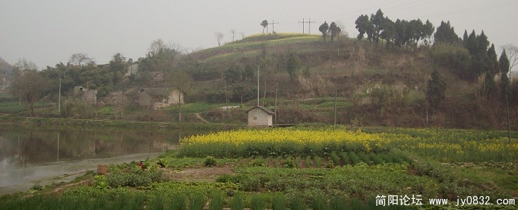 SANY2249.JPG