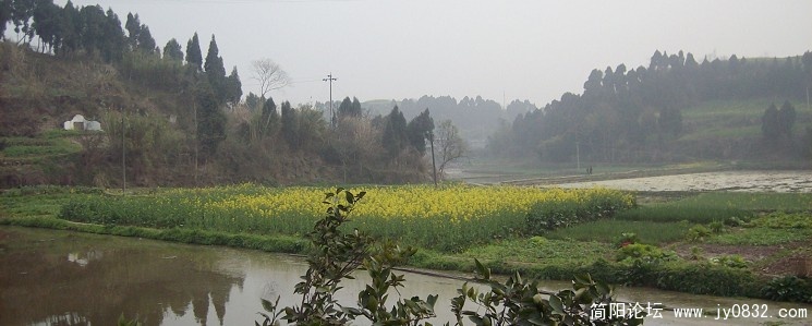 SANY2251.JPG