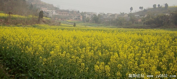 SANY2257.JPG