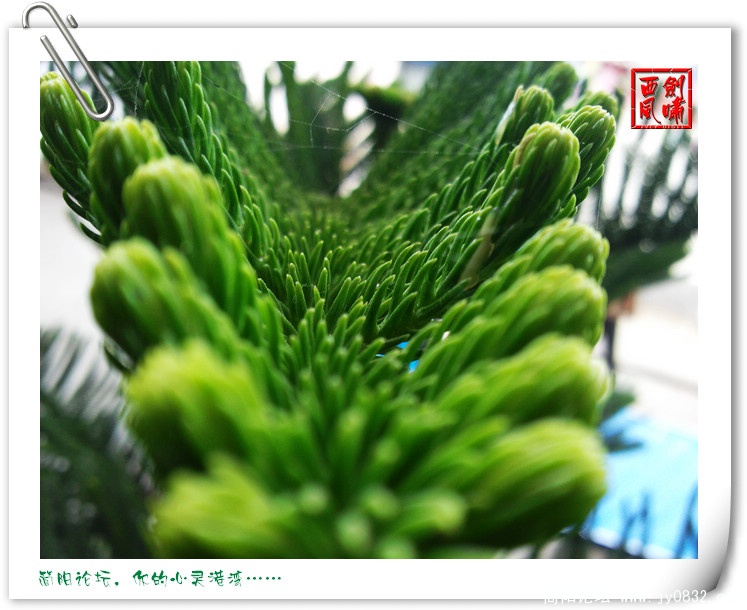 照片0119.jpg