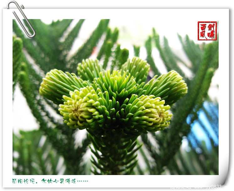 照片0121.jpg