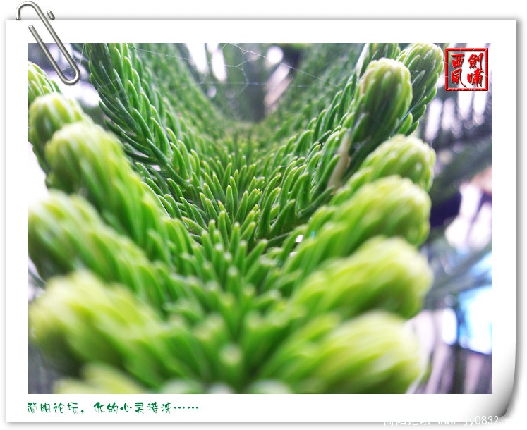 照片0120.jpg