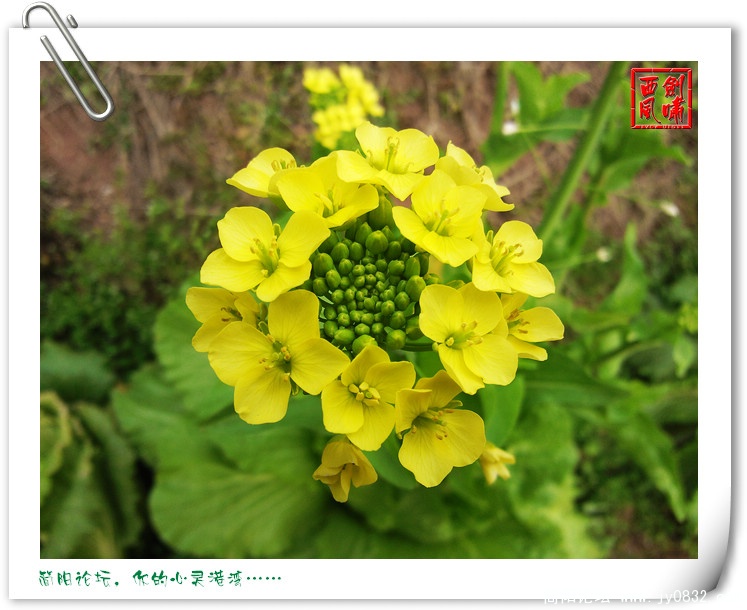 照片0032.jpg