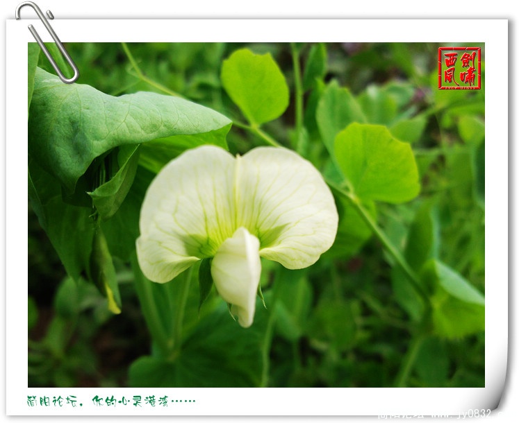 照片0045.jpg