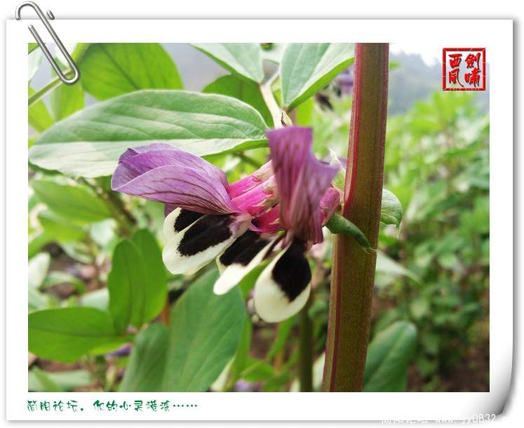 照片0035.jpg