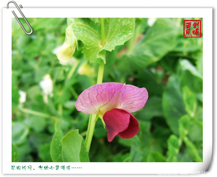 照片0055.jpg