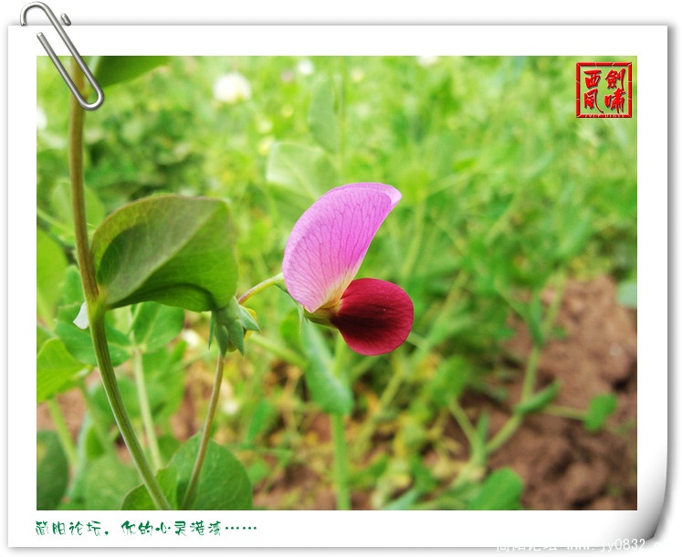 照片0048.jpg