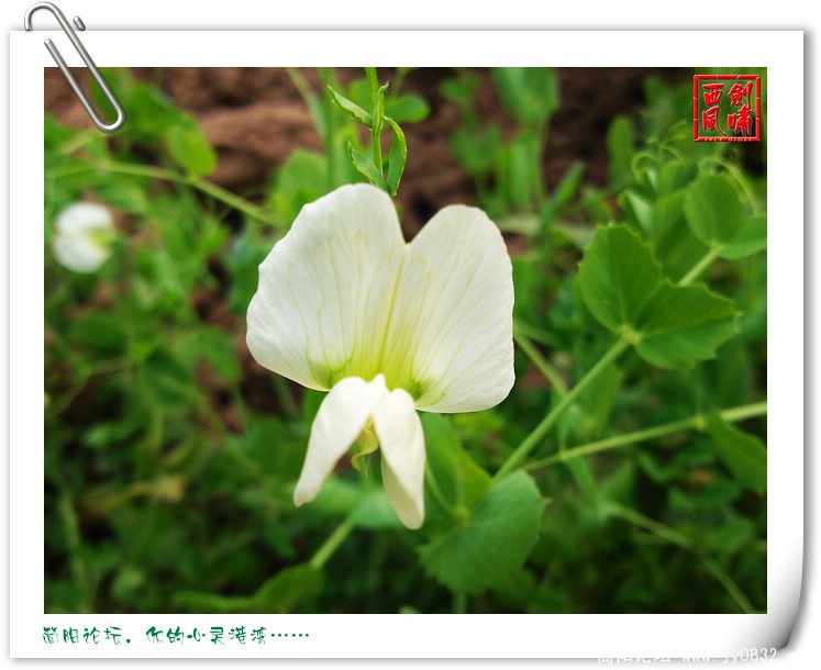 照片0046.jpg