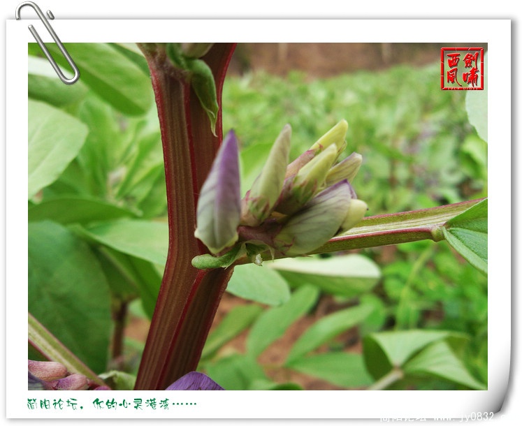 照片0040.jpg