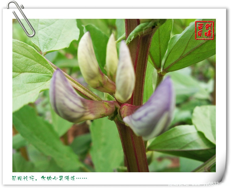 照片0041.jpg