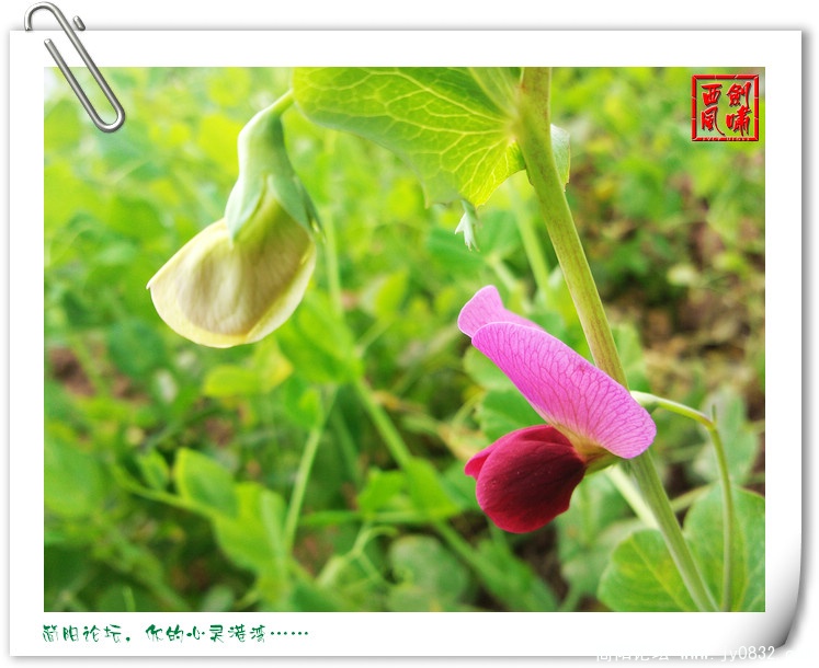 照片0053.jpg