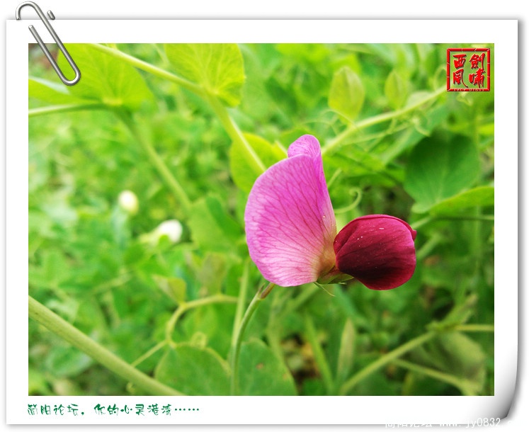 照片0052.jpg