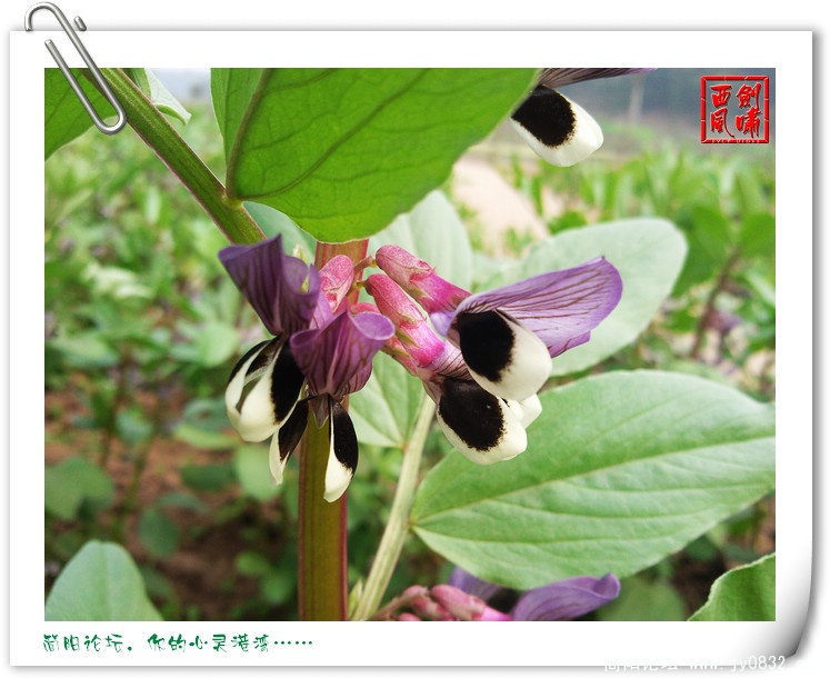 照片0037.jpg