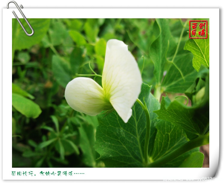 照片0043.jpg