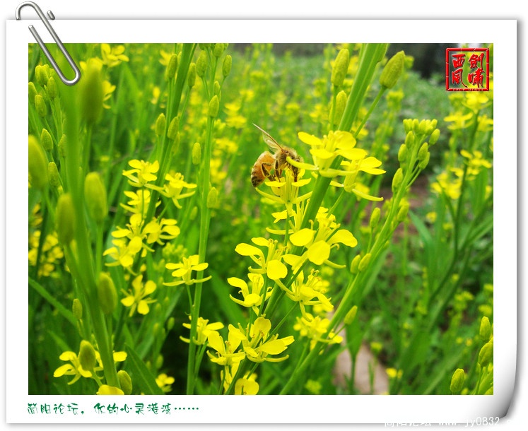 照片0080.jpg