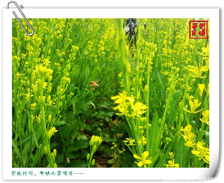 照片0076.jpg