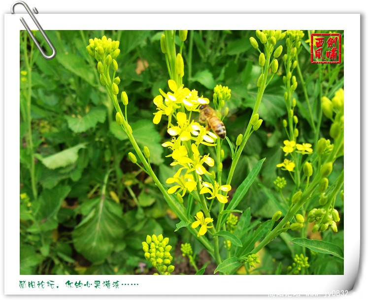 照片0071.jpg
