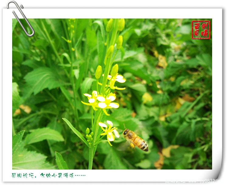 照片0072.jpg