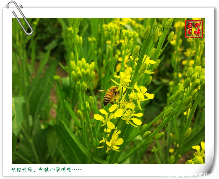 照片0088.jpg