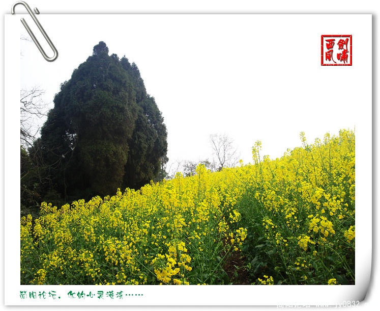 照片0101.jpg