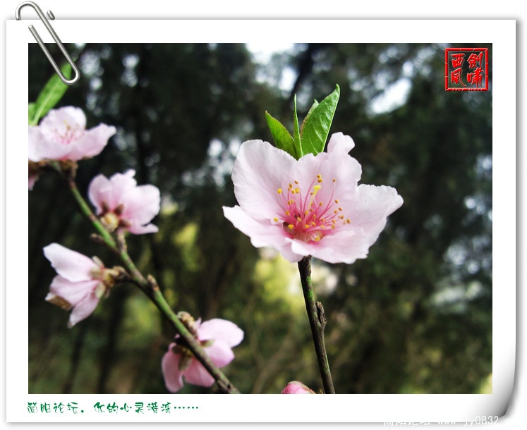 照片0104.jpg