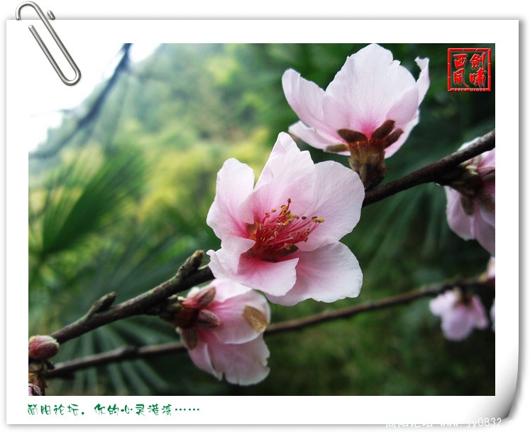 照片0106.jpg