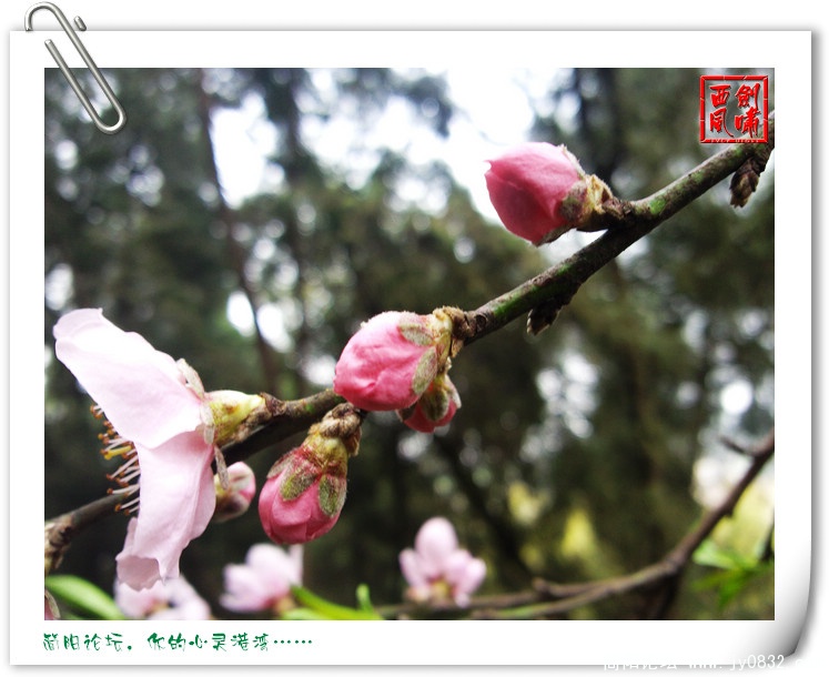 照片0109.jpg