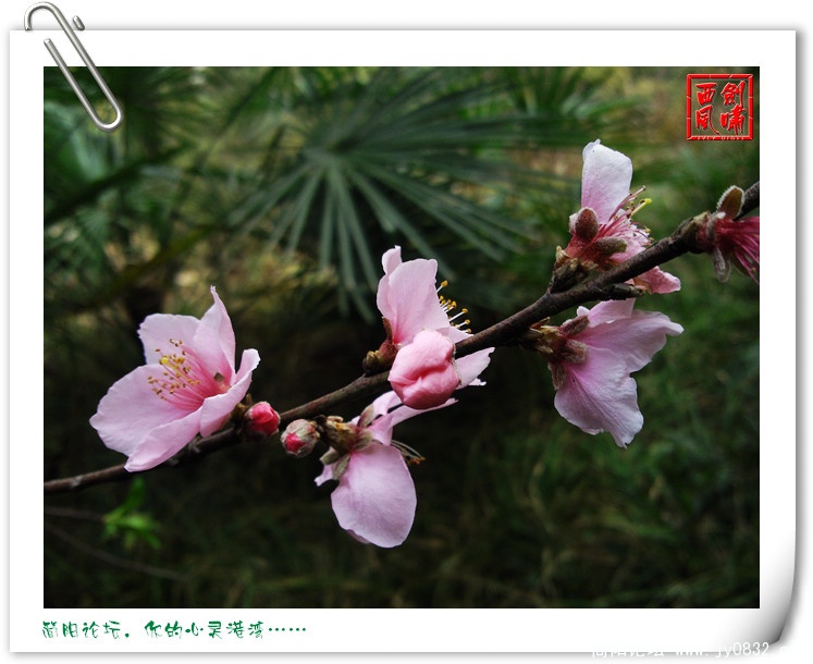 照片0105.jpg