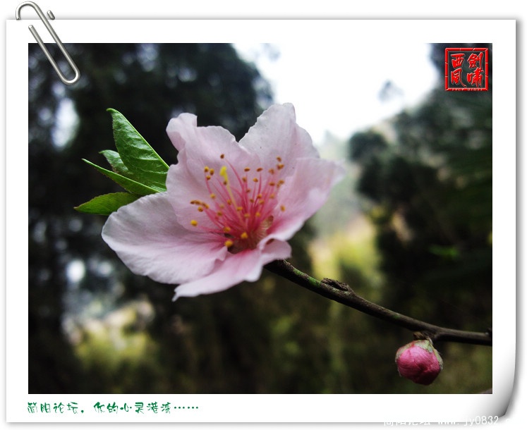 照片0108.jpg
