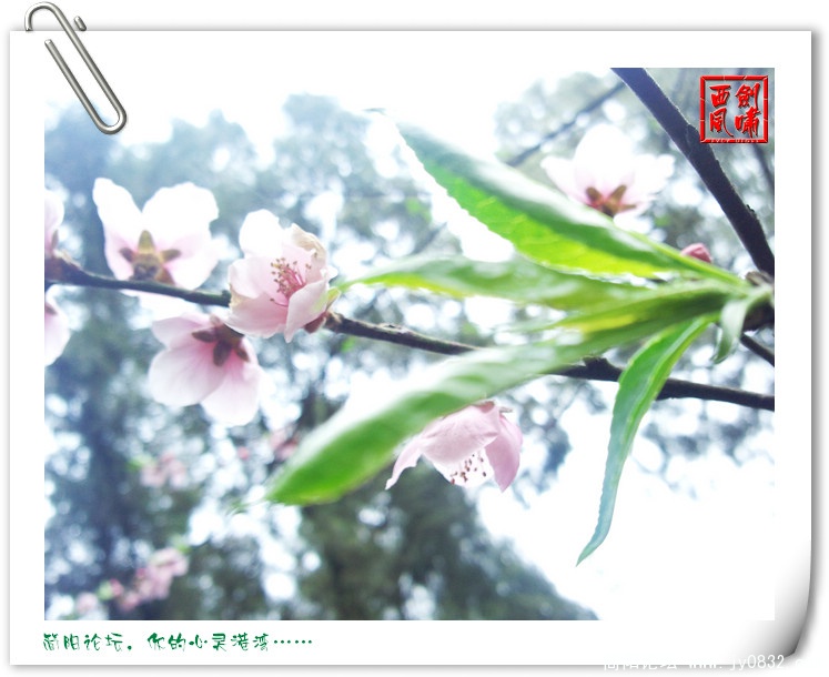 照片0107.jpg