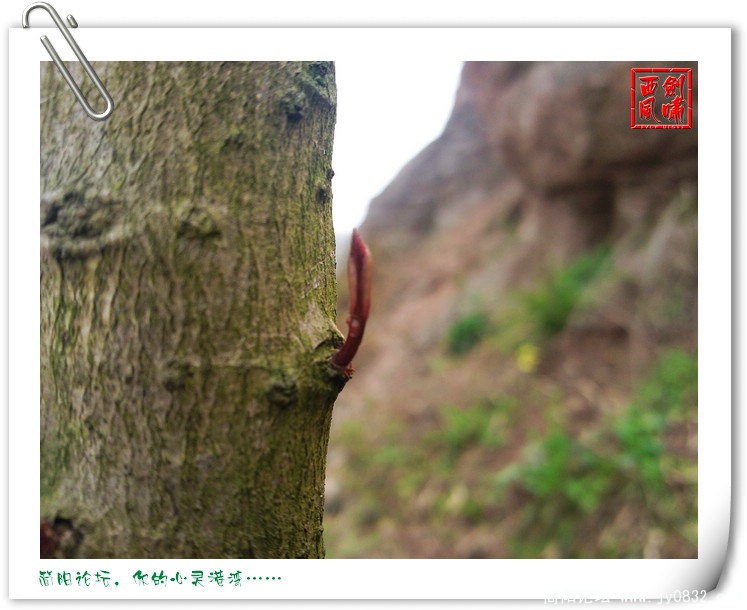 照片0062.jpg