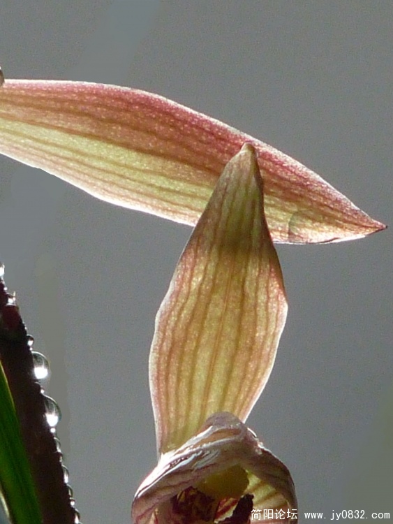 P1090921.JPG