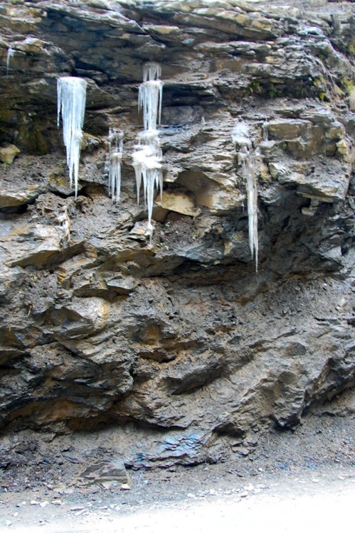 DSC_7113.jpg