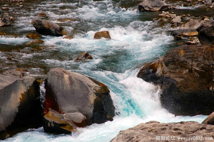 DSC_7115.jpg
