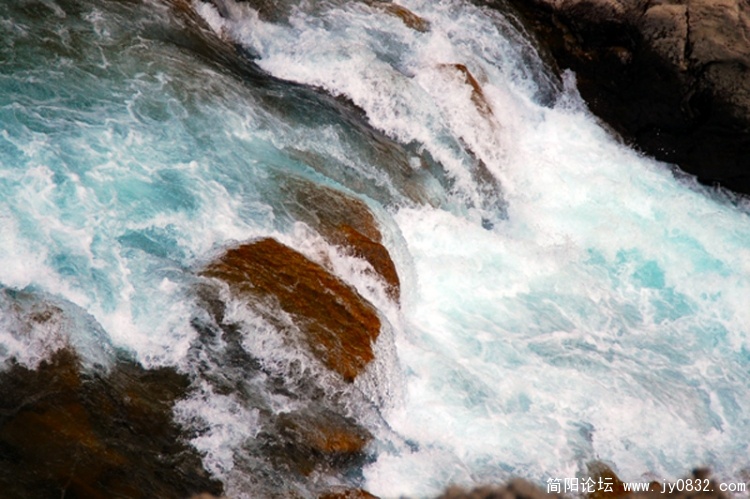 DSC_7117.jpg