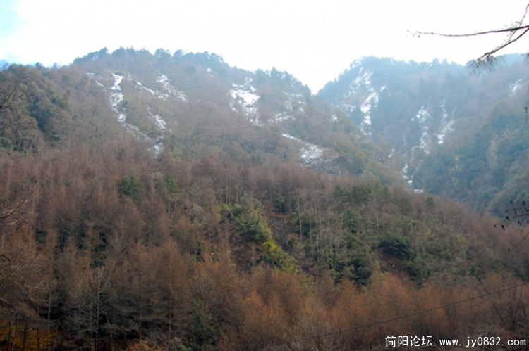 DSC_7118.jpg