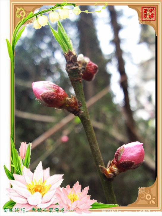 照片0144.jpg