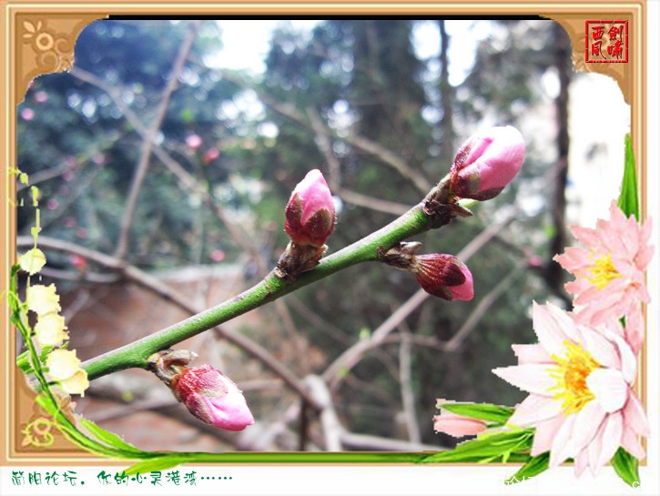 照片0146.jpg