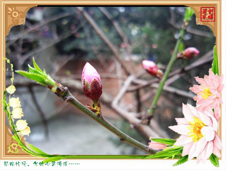 照片0150.jpg
