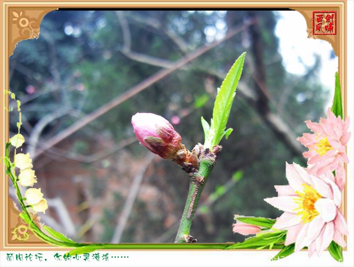 照片0140.jpg