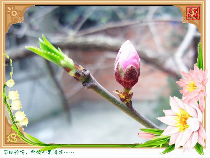 照片0136.jpg