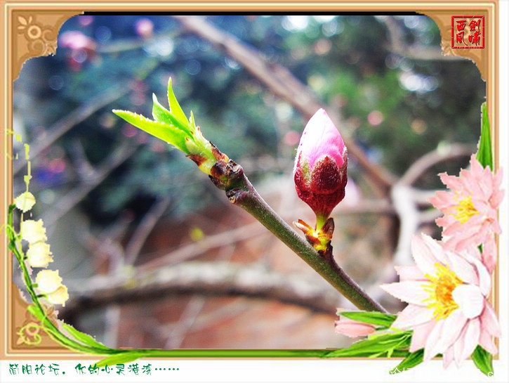 照片0149.jpg
